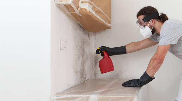 Professional Mold Remediation technician working in Ellsworth, MI